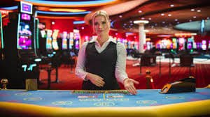 33 bet 33 bet